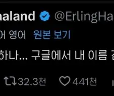 홀란드가 하는것