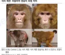 식이조절 특