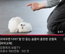 도저히 지나칠 수 없던 썸네일