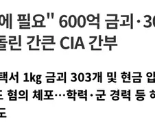 금괴 4000만 달러를 빼돌린 미국 CIA 요원.jpg