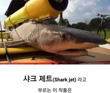 샤크 미사일