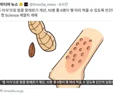 똥 이식으로 알레르기 개선 feat.science