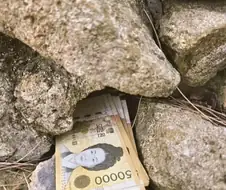 돌탑아래 50만원 줍냐 마냐 해결법 등장