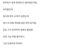 빵셔틀이 일진을 모시게 된 이유......(스압)