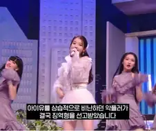 아이유 악플러 징역형