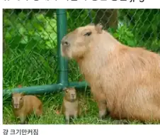 유형성숙.jpg