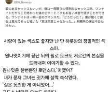 사랑이 있는 ㅅㅅ도 좋지만 난 하룻밤의 정열적 ㅅㅅ를 추구한다.jpg