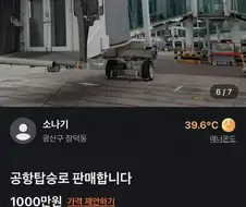 천만원 짜리 당근 매물.jpg