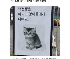 아기 고양이에게 나쁜 행동