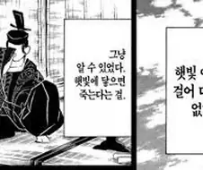 햇빛 아래서 걸어 다닐 수 없다