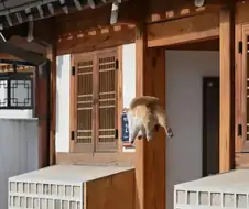 대만 관광객이 찍은 한국 북촌 사진