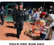 공무원 되자마자 대형사고 친 경찰견