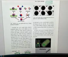 이런것 안들어갓ㅅㅅ 만화져버렷ㅅㅅㅅㅅ