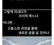 죽음을 앞둔 올빼미의 힘겨운 마지막 움직임