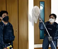 나방잡는 일본경찰