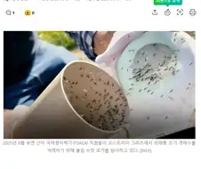 구글 "미국에 모기 3200만마리 풀겠다"…EPA 승인 검토 중