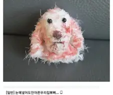 한번 삶았냐???