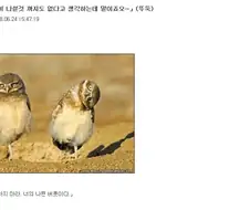 소년 만화 클리셰 모음집.jpg