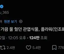 조화도 생명이 있어
