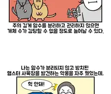 설치류 기르는 사람들이 자주 꾸는 악몽