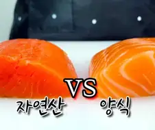 의외로 자연산은 사람들 취향에 안맞을 음식