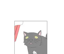 최면어플걸린 고양이.manhwa