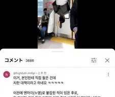 일본의 지하철 치한 대책