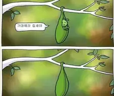 이뻐져서 먹히는 만화