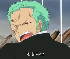 원피스]왜곡짤 아님