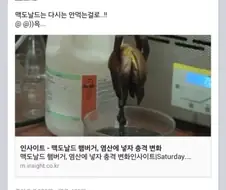 맥도날드 충격 변화