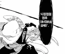 블리치) 연재당시 욕 오지게 처먹었던 쿄라쿠 vs 리제 바로