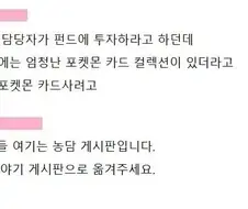 하락장일 때 재정담당자의 조언