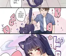 귀찮은 고양이 만화