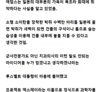 박쥐폭탄 개발 이야기