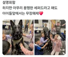 초등학교에 간 경찰견