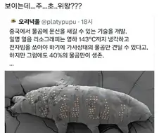 중국, "물곰 몸에 문신하는 기술 개발"
