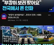 유튜브 알고리즘