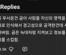 곰은 인간을 죽일 의도가 1도 없다는 연구결과