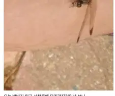 드래곤의 등장에 감동한 디시인들.jpg