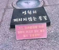 흔한 애니 클리셰