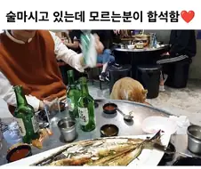 술 마시고 있는데 갑자기 모르는 분이 합석함.
