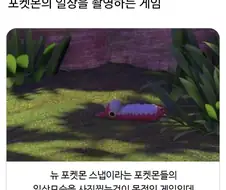 포켓몬의 일상 특