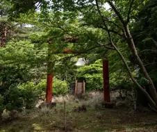일본, 여름의 폐신사⛩