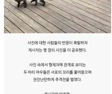 레딧 유저가 올린 새끼 여우 사진.jpg