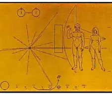 외계인 : 인간? 얘네는 무슨 변태들이냐