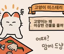 고양이가 이상한 것들을 선물로 주는 이유.manhwa