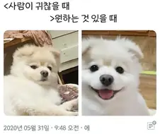거짓말 못해서 얼굴에 다 드러나는 타입 ㅋ