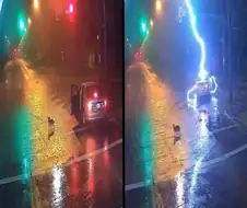 개 버리고 가자 번개 맞음