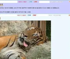 육식동물은 침을 흘릴 수가 없어요ㅋㅋ