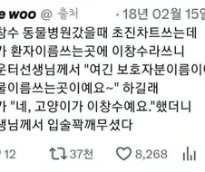 의외로 쉽지 않은 동물병원